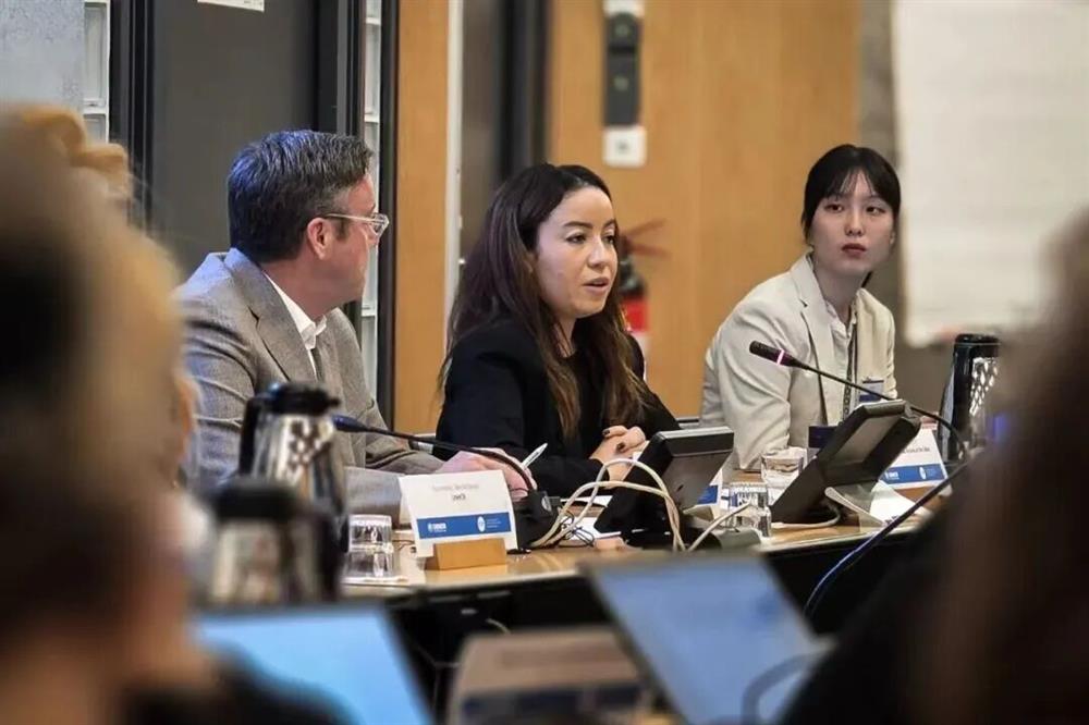 她在联合国裁军事务厅（UNODA）纽